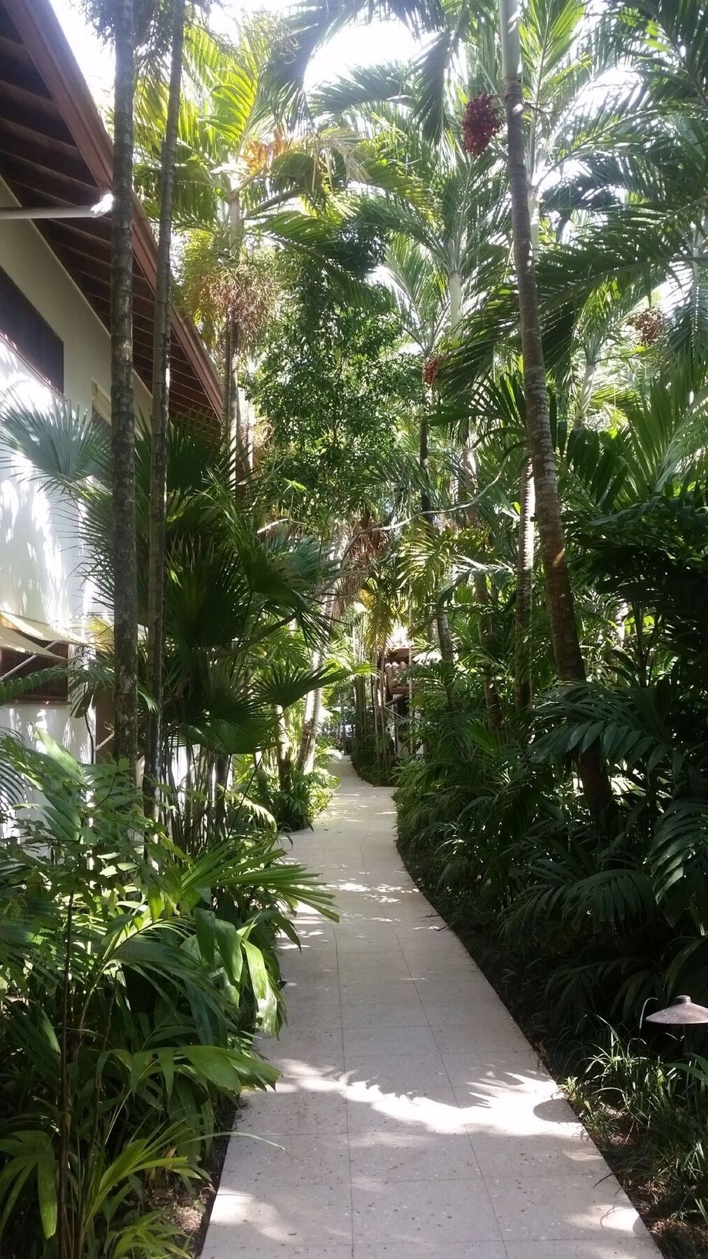 נגריל Idle Awhile Resort מראה חיצוני תמונה