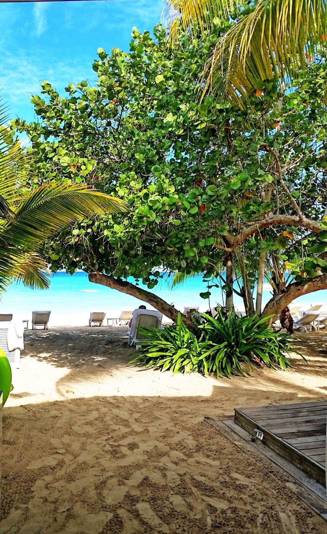 נגריל Idle Awhile Resort מראה חיצוני תמונה